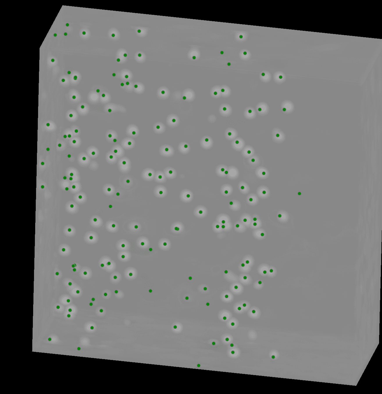 Volume 3D avec les centres cellulaires détectés, en vert, par le Mean Shift pondéré.